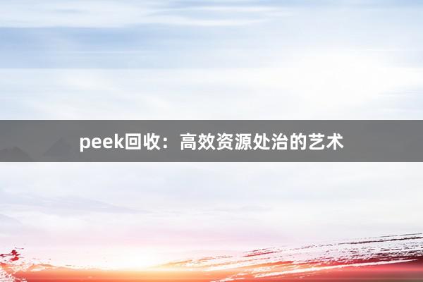 peek回收：高效资源处治的艺术
